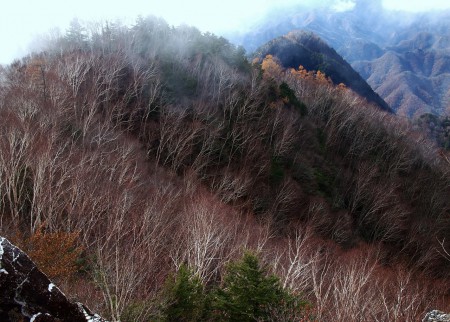 「岳樺.両神山冬支度」撮影者：竹山　武